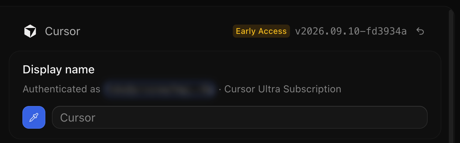 The Cursor provider detail view showed an Early Access badge and an authenticated subscription but no fix for the warning.